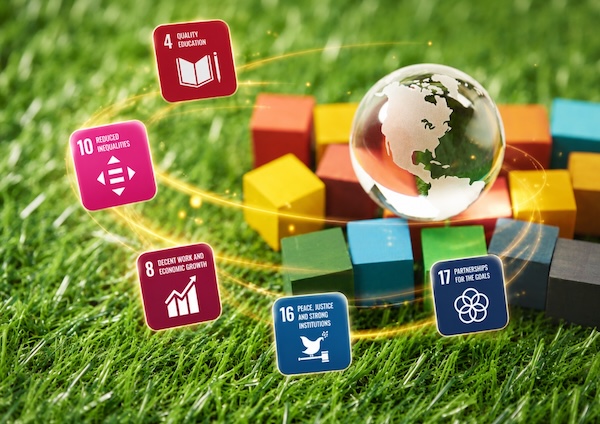 SDG Cover Image